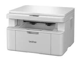 Brother  DCPL1630W